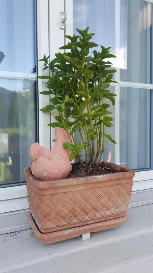 Apartment Waldperle
