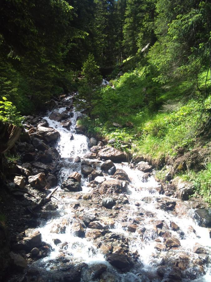 Waldperle Appartement *