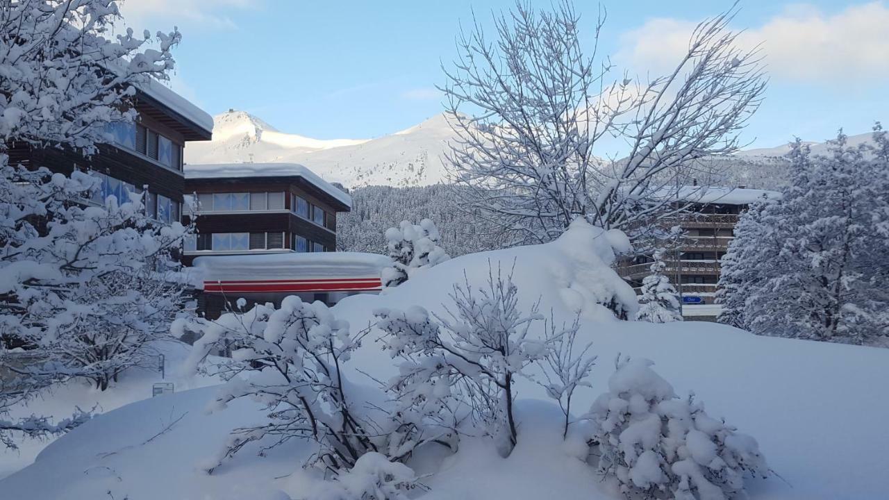 Apartment Waldperle