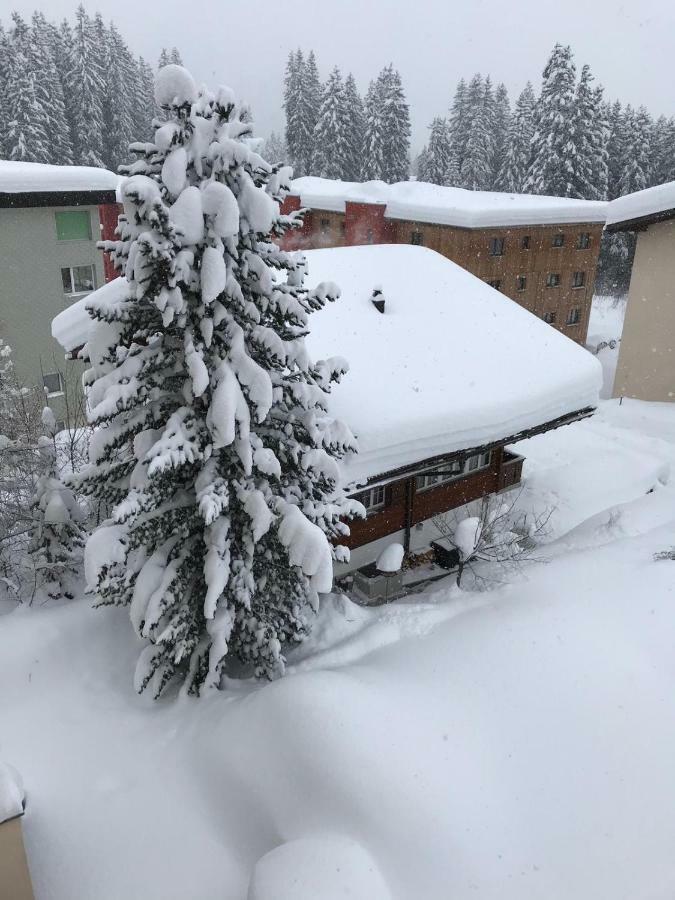 Apartment Waldperle