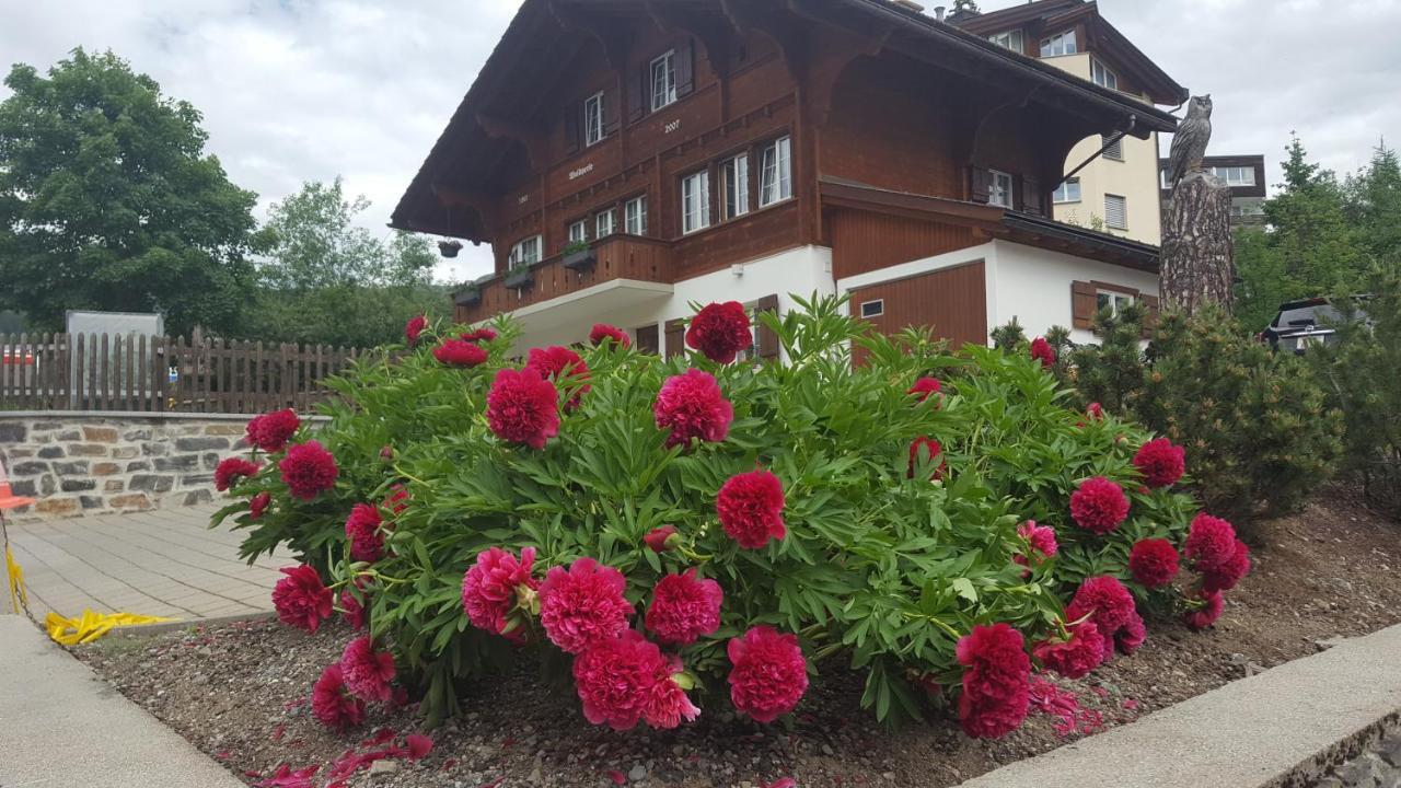 Waldperle Apartment